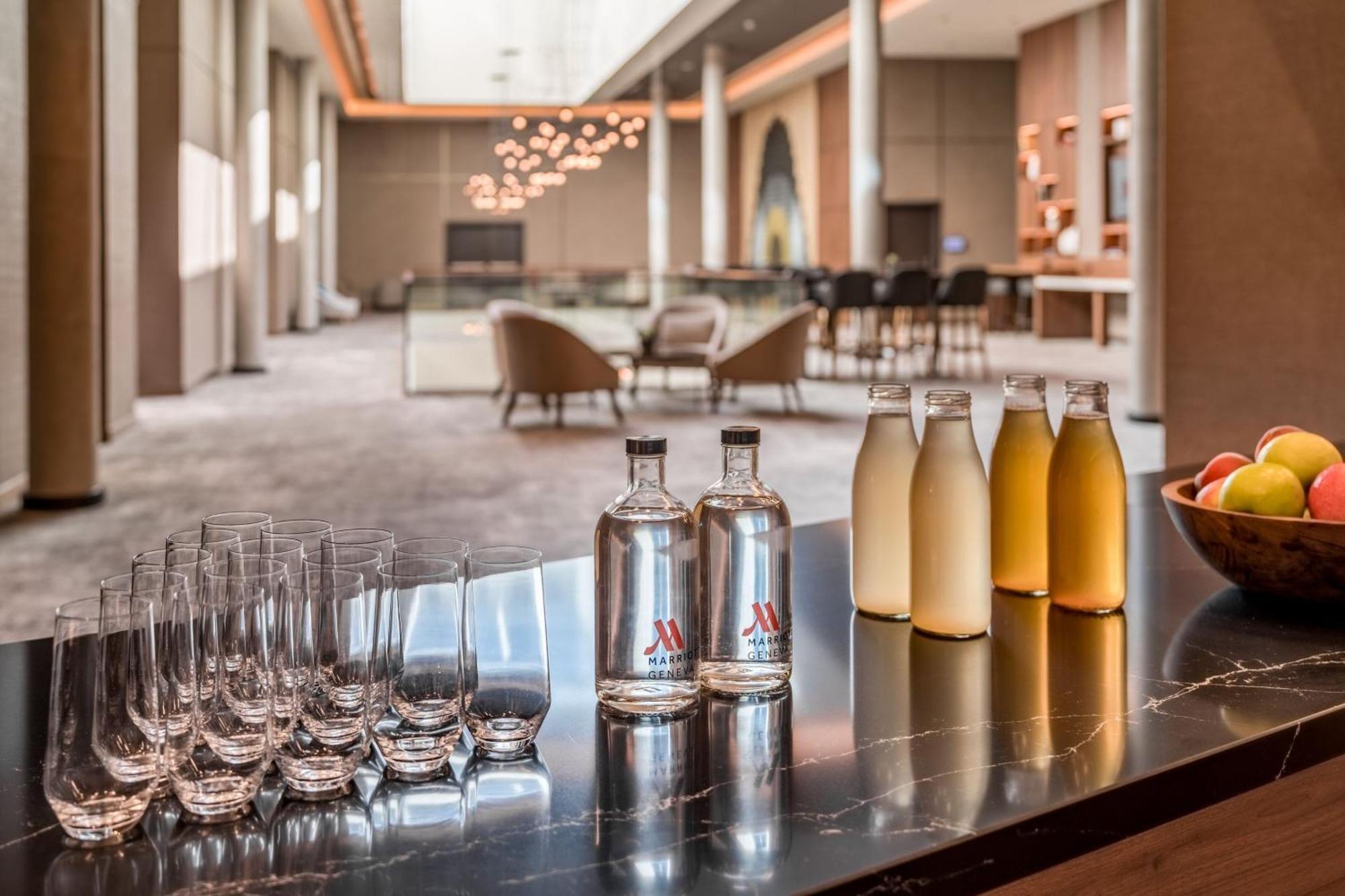 Geneva Marriott Hotel Мерен Экстерьер фото